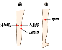 膝関節痛のツボ