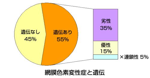 網膜色素変性症と遺伝