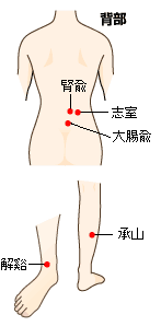 腰痛のツボ